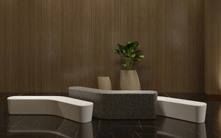 简约木质客厅沙发组合