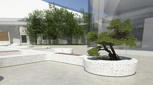 庭院中的精致盆栽景观