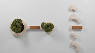 创意绿植与木质摆件组合