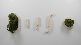 绿色苔藓与白色物件组合