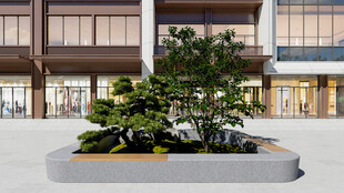 现代建筑前的景观绿植