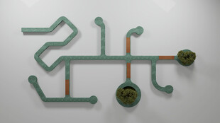 电路板图案与圆形元件