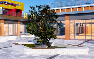 庭院中的绿植与现代建筑