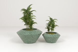 绿色几何花盆中的绿植