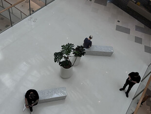 室内白色空间与绿植摆件