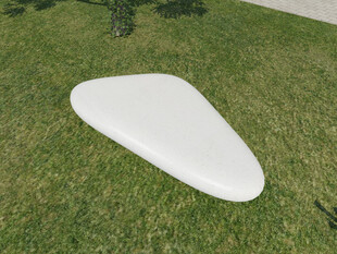 草地上的白色异形物体