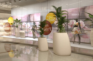 店内精致花瓶与绿植陈列