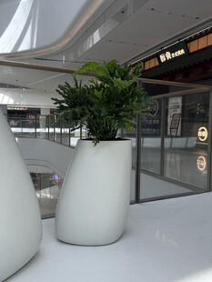 商场内的白色花盆绿植