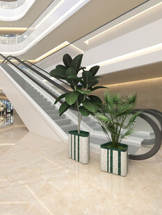 商场内的绿植与自动扶梯