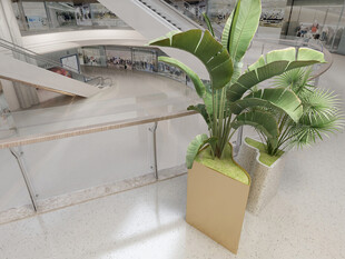 室内绿植装饰花盆展示