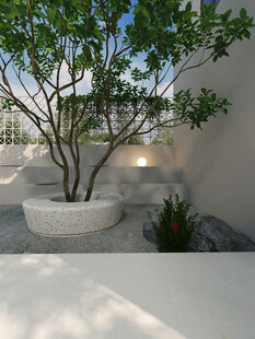 庭院中的简约盆栽景观