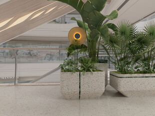 室内绿植装点的现代空间