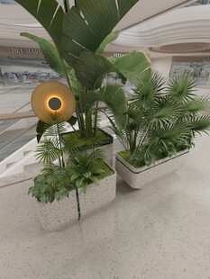 室内绿植装饰场景