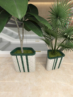 简约绿植盆栽组合