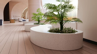 室内圆形绿植景观设计