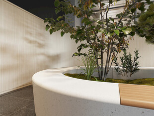 现代庭院植物景观设计