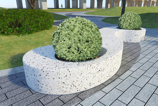 石制花坛中的翠绿球形灌木