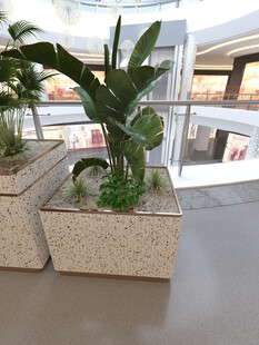 室内精致盆栽组合