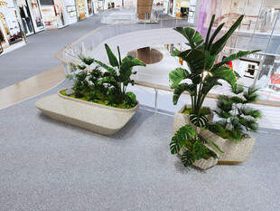 室内绿植景观布置展示