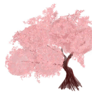 粉色樱花树插画