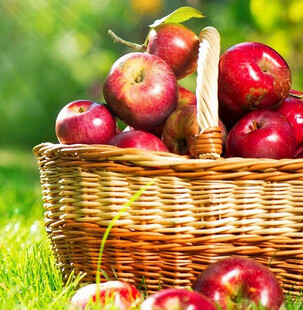 草地上装满红苹果的篮子