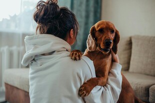 女子与腊肠犬温馨相伴