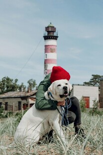 戴帽萌犬与灯塔前的人