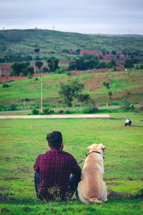 人与狗共赏田园美景