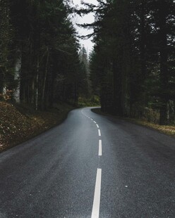林间公路静谧自然之景