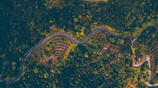 俯瞰蜿蜒于山林的道路