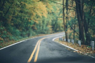 蜿蜒林间公路秋景