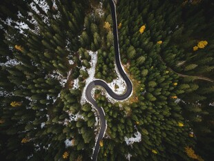 蜿蜒公路穿梭茂密森林