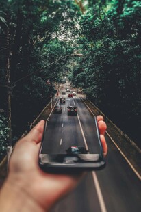 手持手机拍林间公路