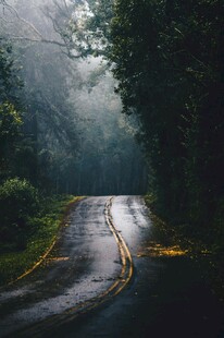迷雾中的蜿蜒林间小路