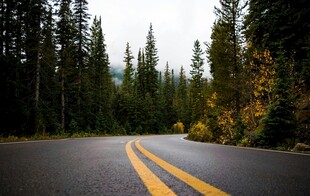 林间公路