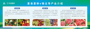 水果蔬菜助农背景展板