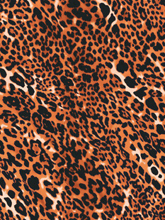 豹纹图案纹理背景
