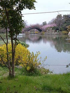 湖畔春色 桥影如画