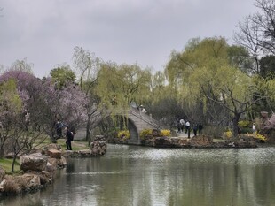 江南园林湖畔春日美景
