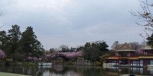 湖畔春景 繁花绿树映亭阁