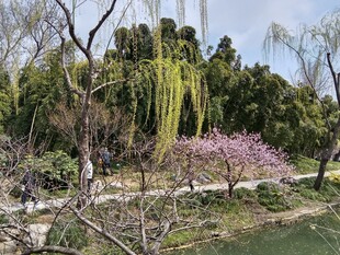 春日园林美景