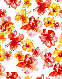 水彩风格扶桑花图案背景