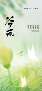 清新荷花图