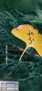 枝头黄叶伴绿植