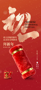 喜庆新年鞭炮初一节气海报