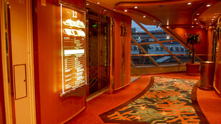 豪华走廊精致装饰景观