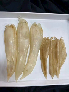 鱼胶