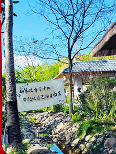 庭院