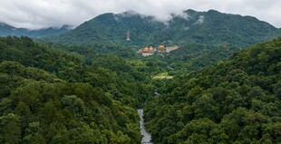 山间溪流穿翠林美景