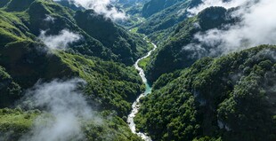 云雾缭绕的山谷美景